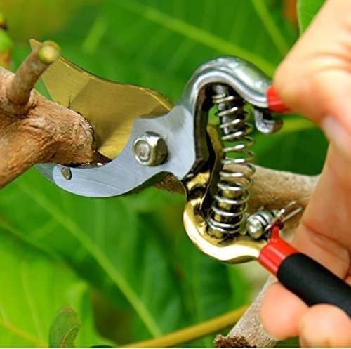 Indestructible Titanium Garden Clippers - Professional Bypass Hand Pruner Pruning Shear with Comfort Grip Handles for Gardening, Trimming, and Yard Work - Hardened Steel & Titanium Blade