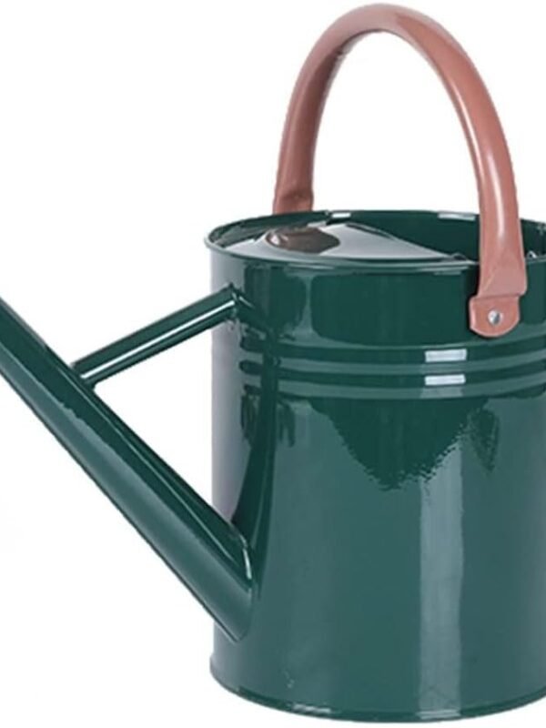 Metal Watering Can for Outdoor and Indoor Plants, Watering Can Decor, 1 Gallon