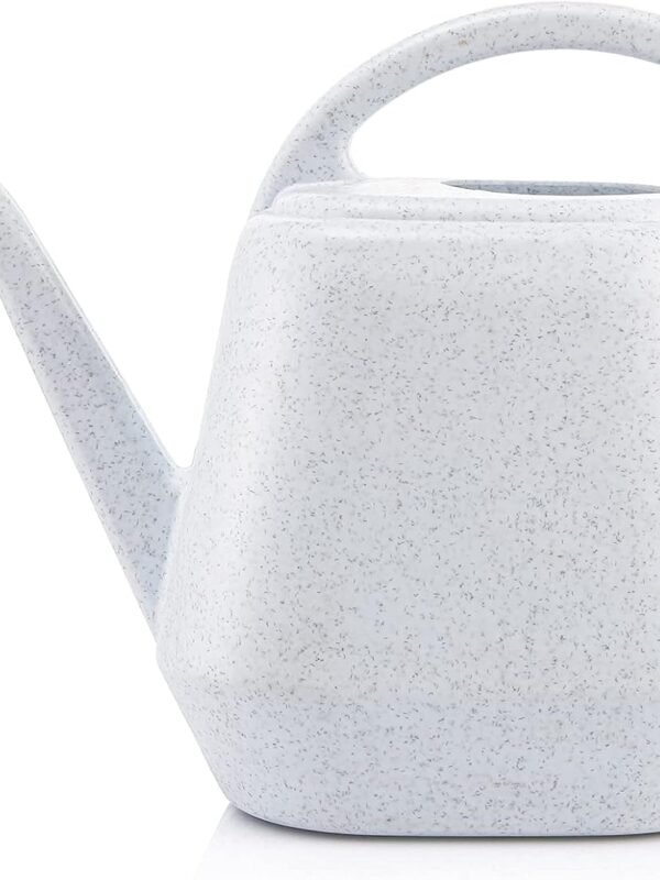 Plastic Watering Can, 1-Gallon