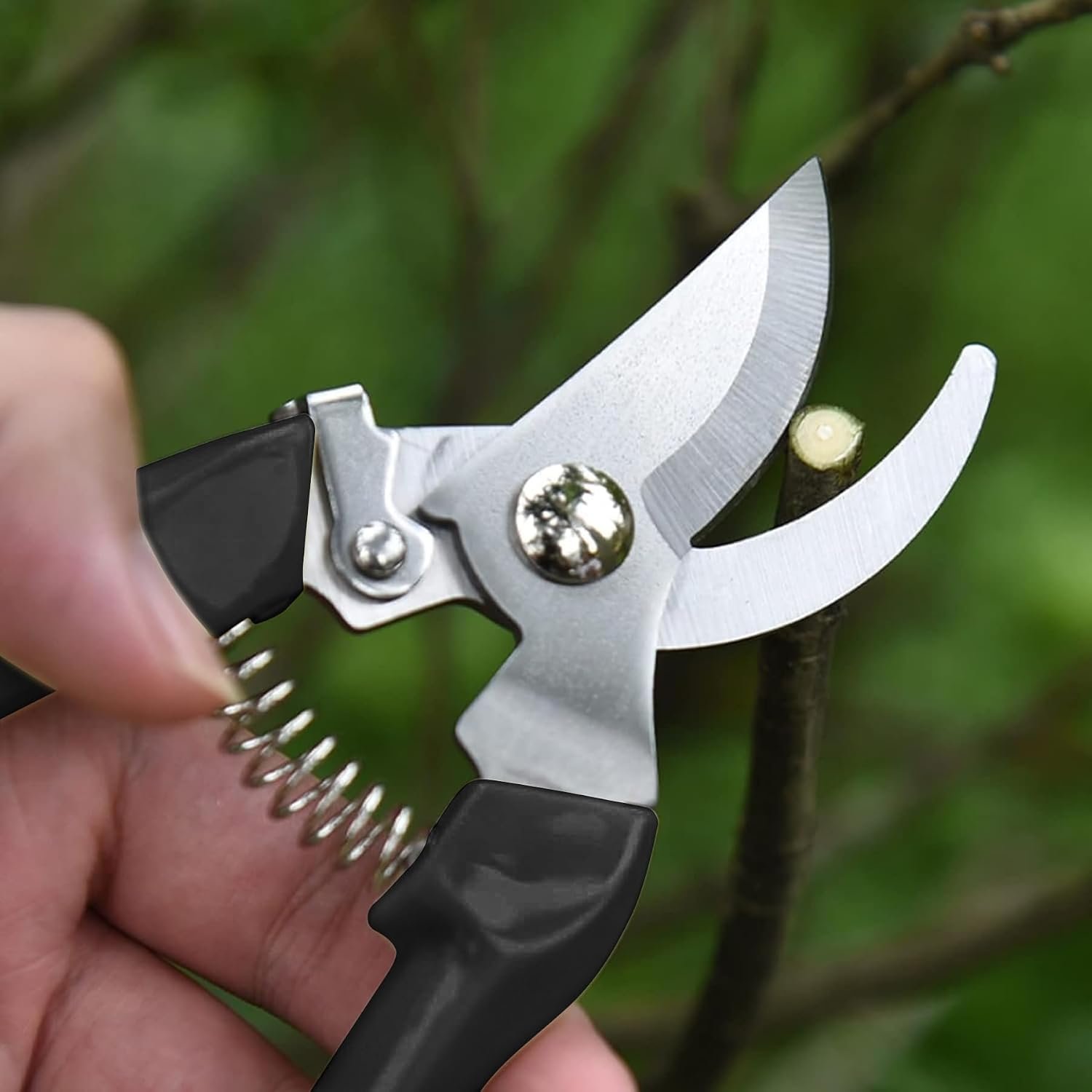 Garden Scissors for Plant, Tip Pruning Shears for Cutting Flowers, Trimming Plants, Bonsai and Fruits Picking (Black Bypass Blade Pruner) - Image 2