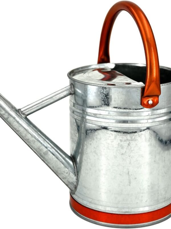 Metal Watering Can for Outdoor Plants, Galvanized Steel Watering Can with Removable spout, 1 Gallon,Perfect Home & Garden Décor Retro Zinc Hue