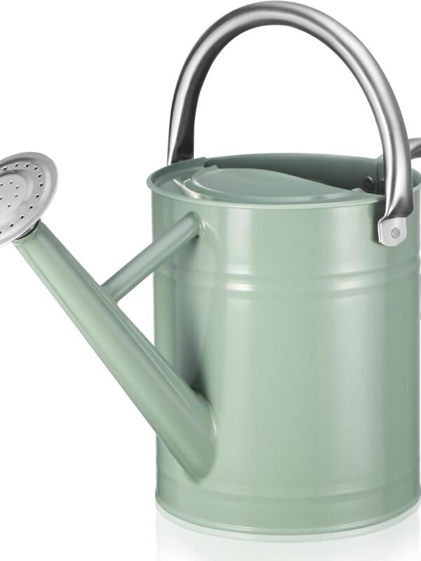 Watering Can for Outdoor Plants and Indoor Plants,1 Gallon Metal Watering Can for Garden Flower,Galvanized Steel Metal Water Can Watering Pot with Sprinkler Head