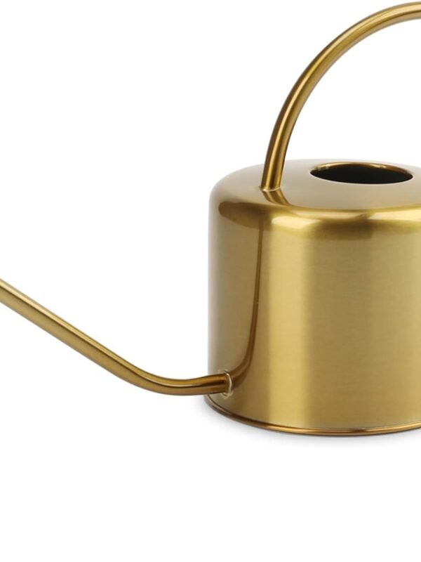 Watering Can Indoor Outdoor Stainless Steel Watering Cans for House Plants Long Spout Water Can for Succulent Bonsai Garden Flower(40oz/1300ml)