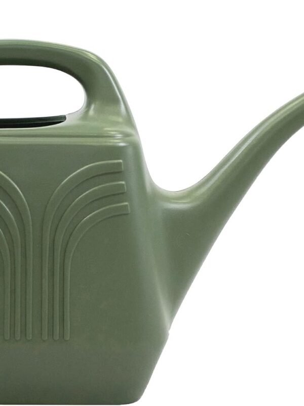 Promo Watering Can: 2 Gallon Capacity -  Durable Resin, Removable Nozzle Spout, Two Handles, Wide Mouth, for Indoor and Outdoor Use, Gardening