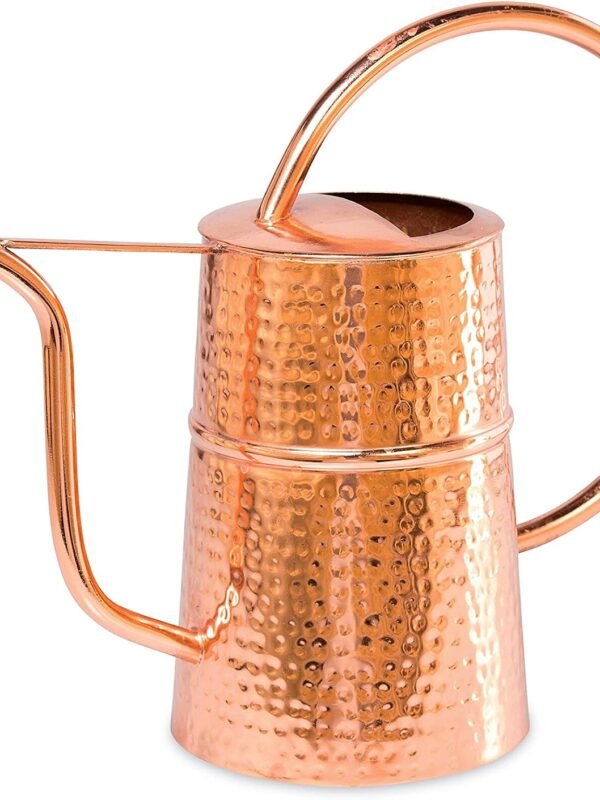 Copper Plated Indoor Watering Can | 3 Quart Water Capacity, Decorative Copper-Plated Steel with Easy Pour Curved Spout for Houseplants, Succulents, Seeds, and Herbs