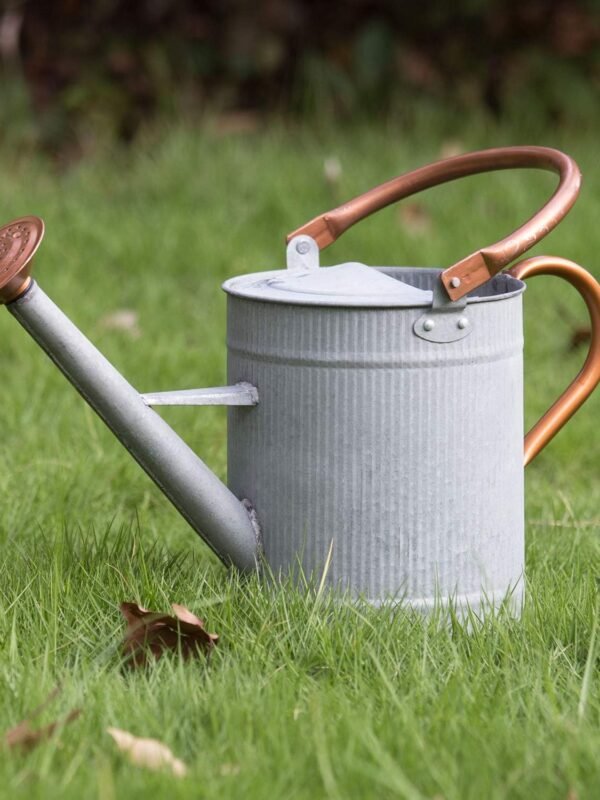 1 Gallon Watering Can, Farmhouse Watering Can, Metal Watering Can with Removable Spout, Galvanized Watering Can, Perfect Plant Watering Can for Indoor Use and for Outdoor Use