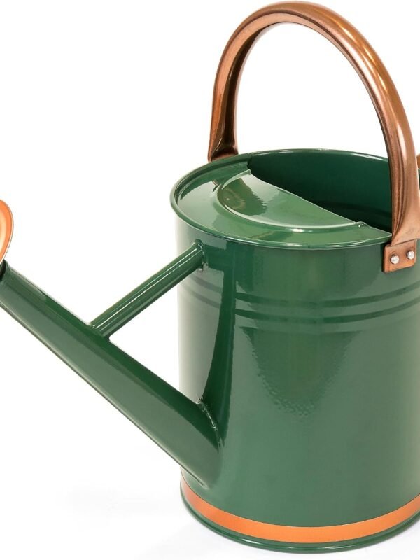 1-Gallon Lightweight Galvanized Steel Gardening Watering Can w/O-Ring, Top Handle, and Copper Accents